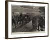 The Afghan War, Funeral of Lieutenant Harford, 10th Hussars-null-Framed Giclee Print