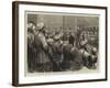 The Afghan War, Grand Durbar Held by General Sir Samuel Browne at Jellalabad on New Year's Day-Godefroy Durand-Framed Giclee Print