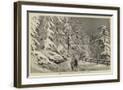 Chelsea Forest Gray