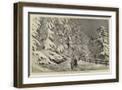 Brown Frame