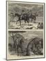 The Afghan War-Samuel Edmund Waller-Mounted Giclee Print
