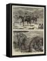 The Afghan War-Samuel Edmund Waller-Framed Stretched Canvas