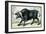 The African Buffalo-John Stewart-Framed Art Print