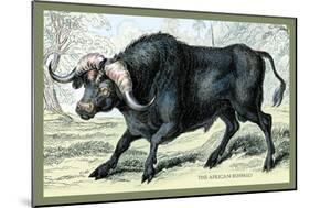 The African Buffalo-John Stewart-Mounted Art Print