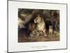 The African Lioness, C.1880-1883-null-Mounted Giclee Print