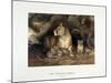 The African Lioness, C.1880-1883-null-Mounted Giclee Print