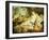 The Age of Venus-Charles Joseph Natoire-Framed Giclee Print