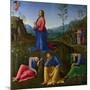 The Agony in the Garden, C. 1502-1503-Lo Spagna-Mounted Giclee Print