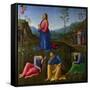 The Agony in the Garden, C. 1502-1503-Lo Spagna-Framed Stretched Canvas