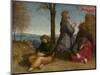 The Agony in the Garden, c.1504-Raphael-Mounted Giclee Print