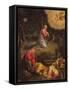 The Agony in the Garden-Paolo Veronese-Framed Stretched Canvas