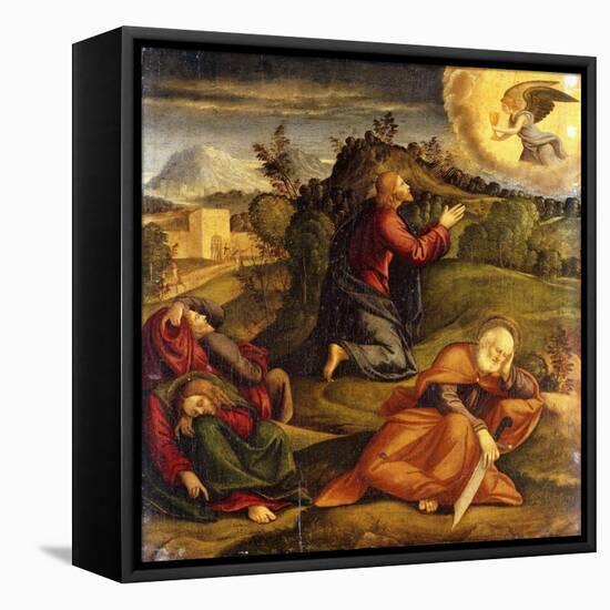 The Agony in the Garden-Girolamo da Santacroce-Framed Stretched Canvas
