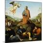 The Agony in the Garden-Perugino Pietro Vannucci-Mounted Giclee Print