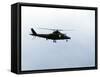 The Agusta A-109 Helicopter of the Belgian Army in Flight-Stocktrek Images-Framed Stretched Canvas