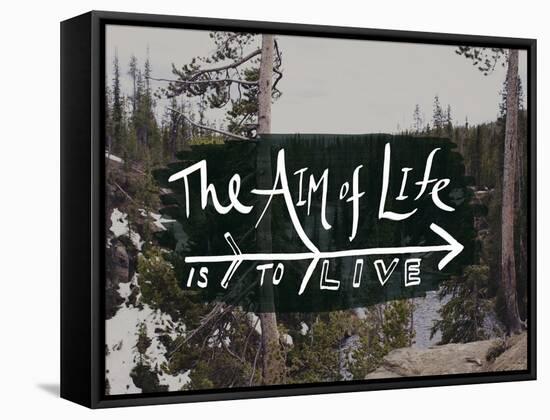 The Aim of Life-Leah Flores-Framed Stretched Canvas