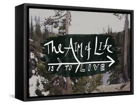 The Aim of Life-Leah Flores-Framed Stretched Canvas