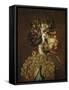 The Air-Giuseppe Arcimboldo-Framed Stretched Canvas