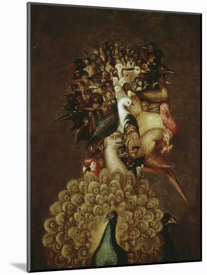 The Air-Giuseppe Arcimboldo-Mounted Giclee Print