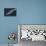 The Aircraft Carrier USS Dwight D. Eisenhower-null-Stretched Canvas displayed on a wall