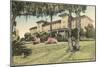 The Alabama Hotel, Winter Park-null-Mounted Art Print