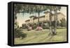 The Alabama Hotel, Winter Park-null-Framed Stretched Canvas