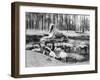 The Alabaster Sphinx, Cairo, Egypt, C1920S-null-Framed Giclee Print