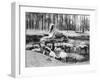 The Alabaster Sphinx, Cairo, Egypt, C1920S-null-Framed Giclee Print