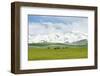 The Alaj valley with the Transalai mountains in the background. The Pamir Mountains.-Martin Zwick-Framed Photographic Print