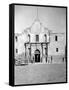 The Alamo in San Antonio, TX Photograph No.1 - San Antonio, TX-Lantern Press-Framed Stretched Canvas