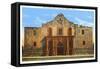 The Alamo, San Antonio, Texas-null-Framed Stretched Canvas