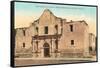 The Alamo, San Antonio, Texas-null-Framed Stretched Canvas