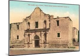 The Alamo, San Antonio, Texas-null-Mounted Art Print