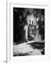 The Alamo-null-Framed Photographic Print