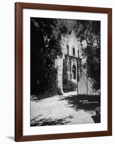 The Alamo-null-Framed Photographic Print