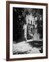 The Alamo-null-Framed Photographic Print