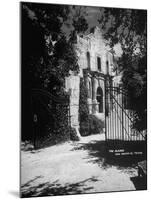 The Alamo-null-Mounted Photographic Print