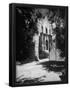 Essential Black