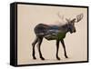 The Alaskan Bull Moose-Davies Babies-Framed Stretched Canvas