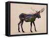 The Alaskan Bull Moose-Davies Babies-Framed Stretched Canvas