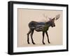 The Alaskan Bull Moose-Davies Babies-Framed Art Print