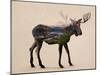 The Alaskan Bull Moose-Davies Babies-Mounted Art Print