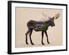 The Alaskan Bull Moose-Davies Babies-Framed Art Print