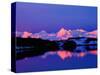 The Alaskan Range is Adjacent to Mt. Denali, Alaska, USA-Charles Sleicher-Stretched Canvas