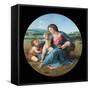 The Alba Madonna-Raphael-Framed Stretched Canvas