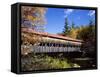 The Albany Covered Bridge Across a River, New England, USA-Roy Rainford-Framed Stretched Canvas