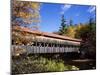 The Albany Covered Bridge Across a River, New England, USA-Roy Rainford-Mounted Photographic Print