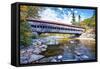 The Albany Covered Bridge Over the Swift River at Fall, New Hampshire-George Oze-Framed Stretched Canvas