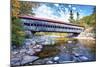 The Albany Covered Bridge Over the Swift River at Fall, New Hampshire-George Oze-Mounted Photographic Print