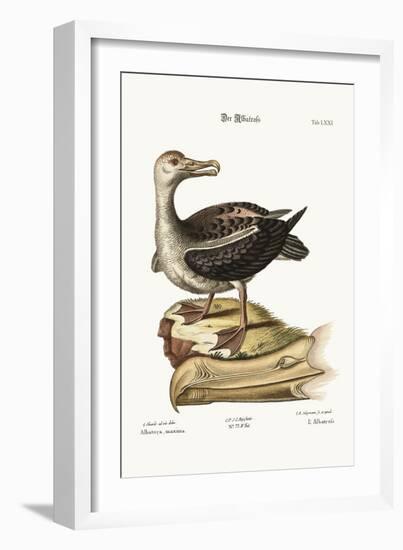 The Albatross, 1749-73-George Edwards-Framed Giclee Print