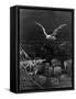 The Albatross Is Shot by the Mariner-Gustave Doré-Framed Stretched Canvas